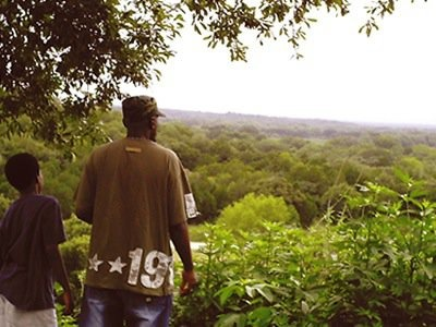 A father and son standing on a hill overlooking the forest