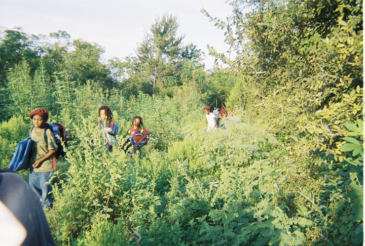 Boys trekking through the bush at sunrise