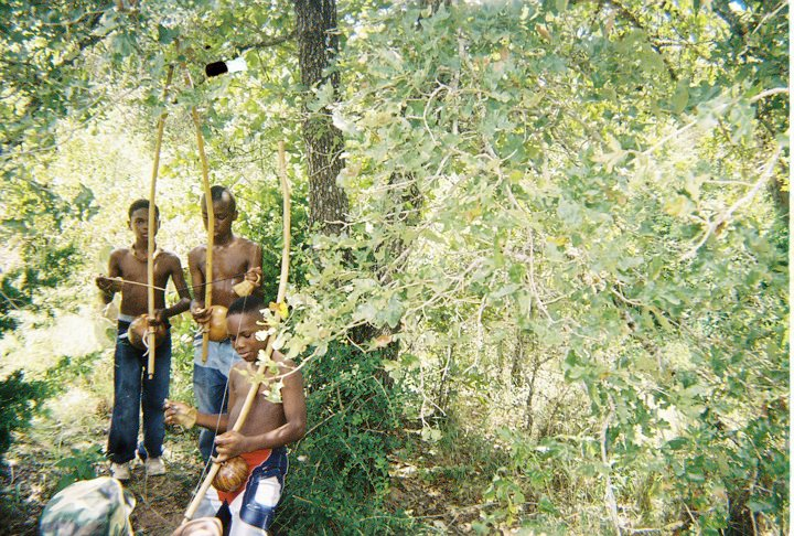 Boys playing berimbau in the woods
